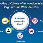 Organization With IdeasPro