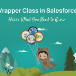 Wrapper Classes in Salesforce