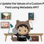 How to Update the Values of a Custom Picklist Field using Metadata API?