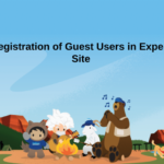 Self-Registration of Guest Users in Experience Site