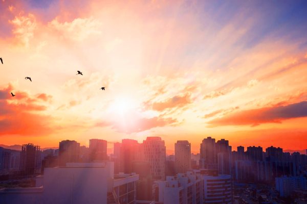 sunrise over a big city landscape showing daily habits for successful people.