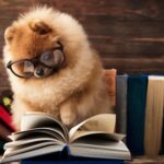 A dog with glasses reading a book representing marketing for beginners.