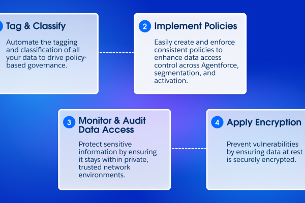 precision governance diagram