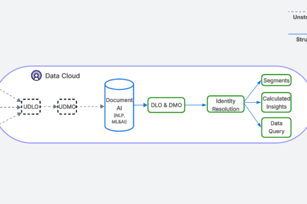 Salesforce Document AI